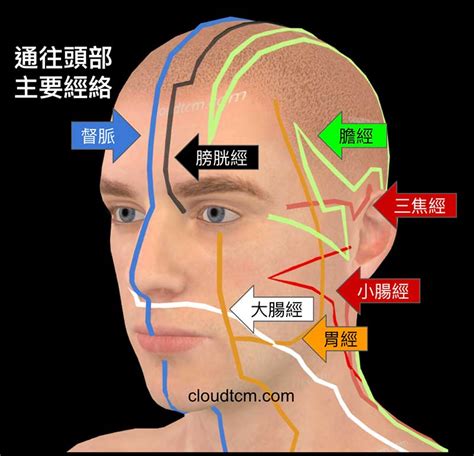 頭上|頭上的解释